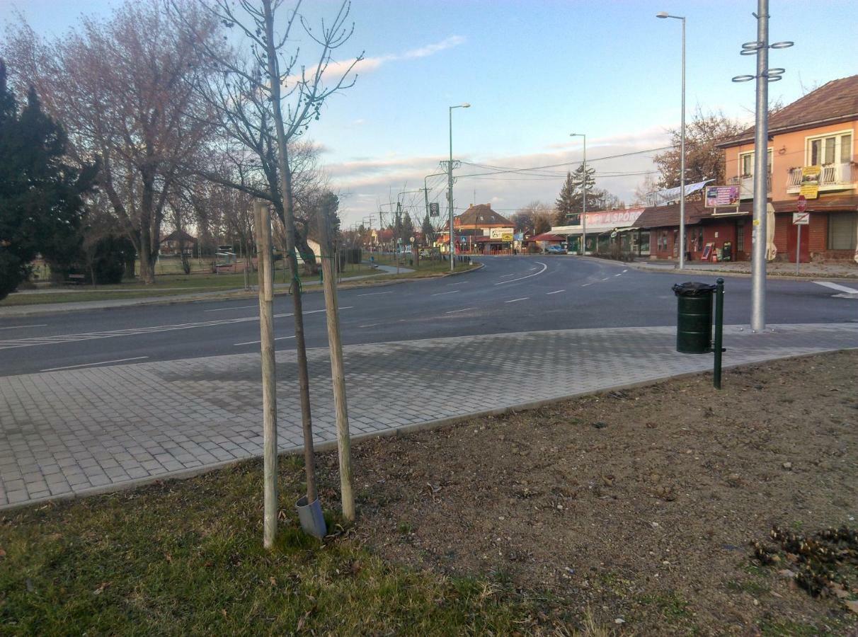 Fesztivál Nyaralóház Zamárdi Kültér fotó